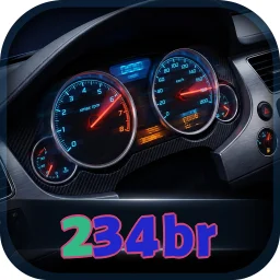 234br