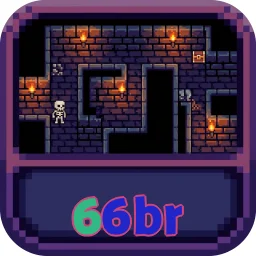 66br